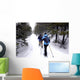 Snow shoeing Wall Mural