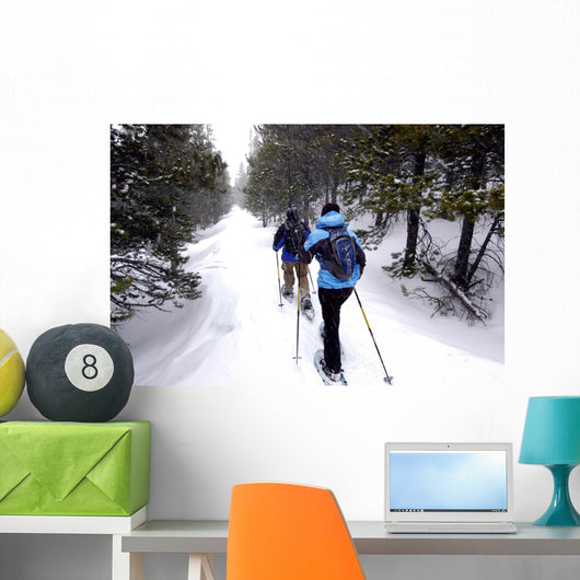 Snow shoeing Wall Mural