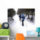 Snow shoeing Wall Mural