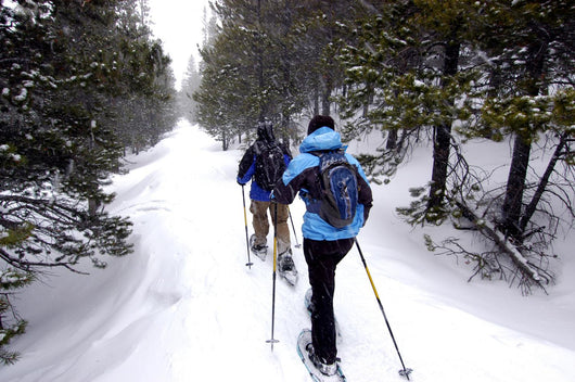 Snow shoeing Wall Mural