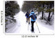 Snow shoeing Wall Mural