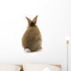 Adorable Rabbit Wall Decal