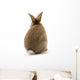 Adorable Rabbit Wall Decal