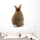 Adorable Rabbit Wall Decal
