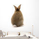 Adorable Rabbit Wall Decal