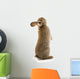 Adorable Rabbit Wall Decal