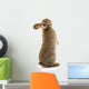 Adorable Rabbit Wall Decal