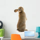 Adorable Rabbit Wall Decal