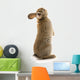Adorable Rabbit Wall Decal