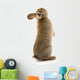 Adorable Rabbit Wall Decal