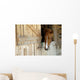 Cheval Horse