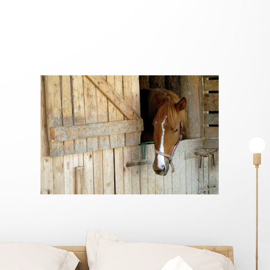 Cheval Horse