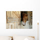 Cheval Horse