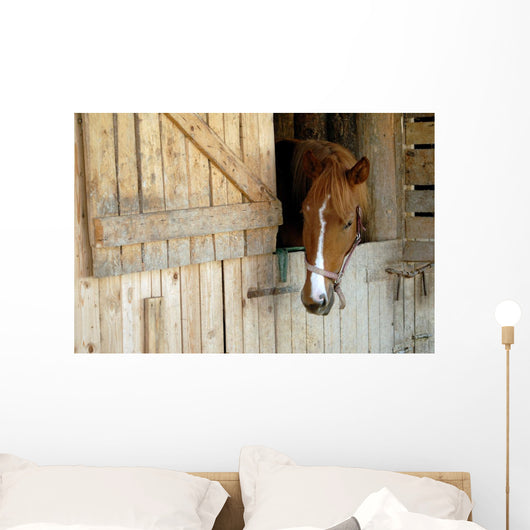Cheval Horse