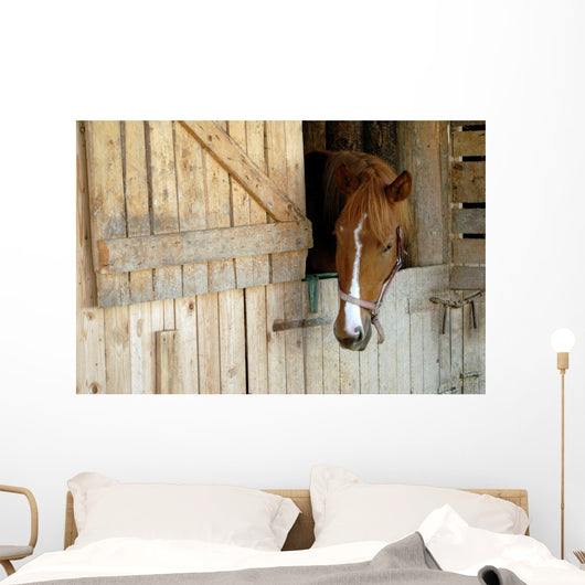 Cheval Horse