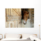 Cheval Horse