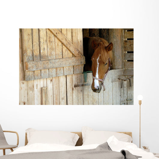 Cheval Horse