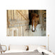 Cheval Horse
