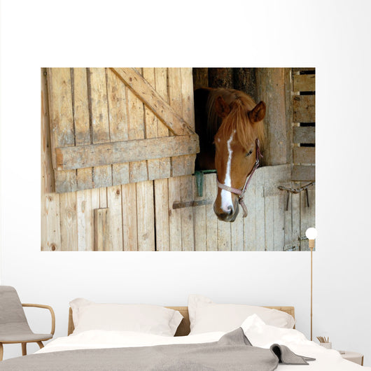 Cheval Horse