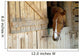 Cheval Horse