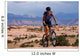 Mountain Biking Wall Mural