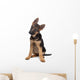 German Shepherd Puppy