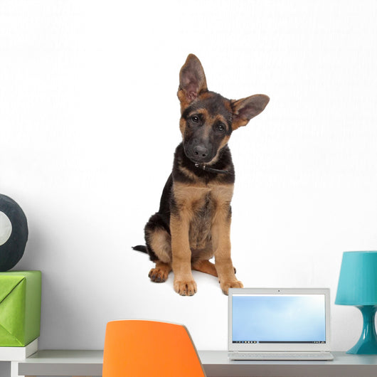 German Shepherd puppy Wall Decal