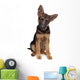 German Shepherd puppy Wall Decal