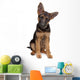 German Shepherd puppy Wall Decal