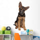 German Shepherd puppy Wall Decal
