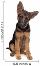 German Shepherd puppy Wall Decal