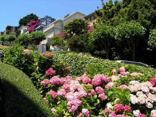 Lombard Street San Francisco Wall Decal