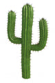 Cactus Wall Decal