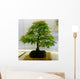bonsai tree Wall Mural
