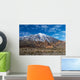 Teide Volcano from Far Wall Decal