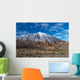 Teide Volcano from Far Wall Decal