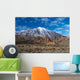 Teide Volcano from Far Wall Decal