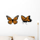 Monarch Collection Wall Mural