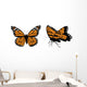 Monarch Collection Wall Mural
