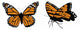 Monarch Collection Wall Mural