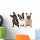 Three French Bulldogs in a Row Wall Decal