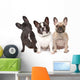 Three French Bulldogs in a Row Wall Decal