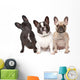 Three French Bulldogs in a Row Wall Decal