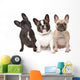 Three French Bulldogs in a Row Wall Decal