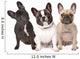 Three French Bulldogs in a Row Wall Decal