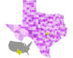 Texas State Counties Map