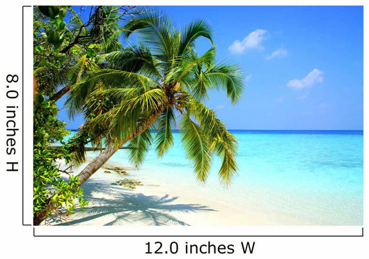 Maldives Adaaran Club Island Wall Mural