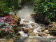 Stream 3 Wall Decal
