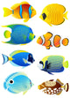 Eight Tropical Fish Wall Stickers