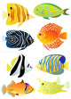 Eight tropical fish Wall Decal